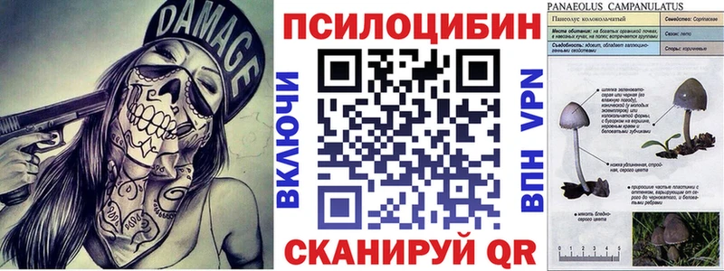 ОМГ ОМГ рабочий сайт  как найти наркотики  Междуреченск  Галлюциногенные грибы мухоморы 